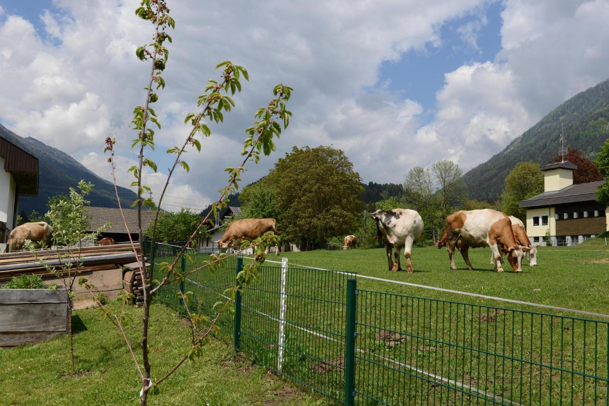 Ferienhaus Kolbnitz Unterkolbnitz Zewnętrze zdjęcie